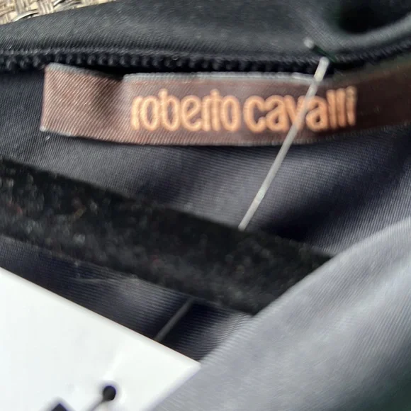 Roberto Cavallli new gorgeous dress - Picture 8 of 10